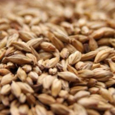 Weyermann Melanoidin Crushed Malt - 10 lb. Bag