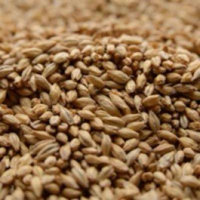 Briess Pilsen Crushed Malt - 10 lb. Bag