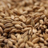 Muntons Caramalt Malt - 5 LB, Crushed