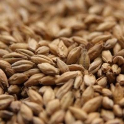 Muntons Caramalt Malt - 5 LB, Crushed