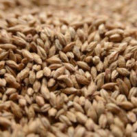 Malting Co. of Ireland Irish Ale Crushed Malt - 1 lb. Bag