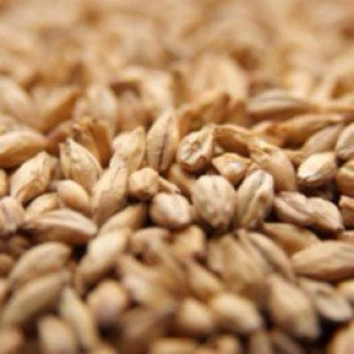 Weyermann CARAFOAM Crushed Malt - 5 lb. Bag