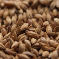 Chateau (Castle) Munich Light Uncrushed Malt - 5 lb. Bag