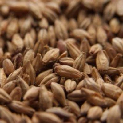Chateau (Castle) Munich Light Uncrushed Malt - 5 lb. Bag