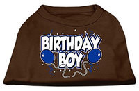 Ahi Birthday Boy Screen Print Shirts Brown XS (8)