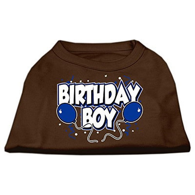 Ahi Birthday Boy Screen Print Shirts Brown XS (8)