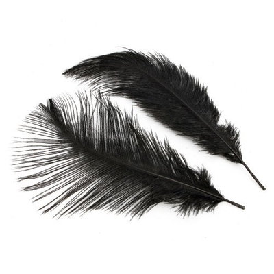 niceEshop(TM) Creative Beautiful Natural Ostrich Feathers For Home Wedding Decor (Black ,Set of 10 Pcs)