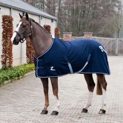 HorZe Millau Wool Rug 69