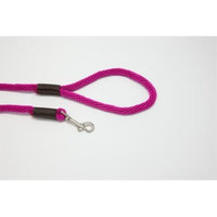 Purple Pebble LZ384RA 4 ft. x 0.37 in. Leedz Medium Raspberry Leash