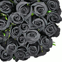 Natural Fresh Flowers - Tinted Black Roses, 20