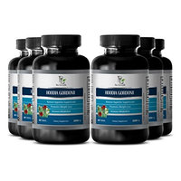 Belly fat burner weight loss - PURE HOODIA GORDONII EXTRACT 2000mg - Burn fat belly - 6 Bottles 360 Tablets