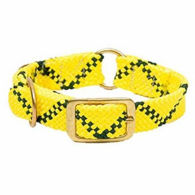 316221 Center Ring Collar, 1