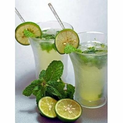 Mojito Mint - Mentha villosa - Grow Indoors or Out - 4.33