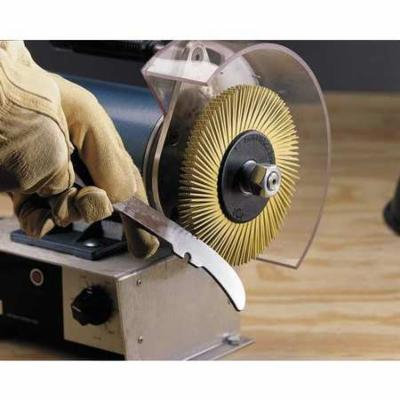 SCOTCH-BRITE Radial Bristle Brush,T-A,6 Diax1/2 W,36 61500151446