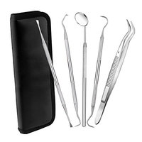 Dental Hygiene Tool Set Oral Care Tools Stainless Steel Dentist Tools Pick, Personal Use & Pet Dental Cleaning Kit 6 PCS