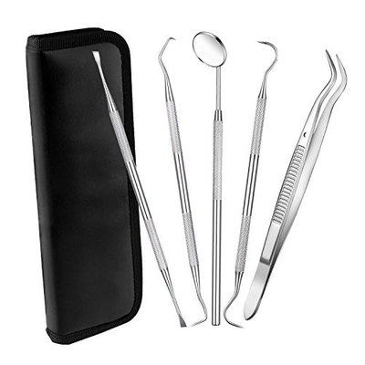 Dental Hygiene Tool Set Oral Care Tools Stainless Steel Dentist Tools Pick, Personal Use & Pet Dental Cleaning Kit 6 PCS
