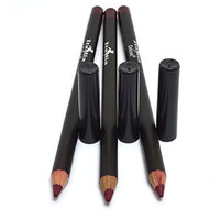 3 Pcs x Italia 1031 Deep Purple Ultra Fine Eye liner Pencil Lip Gray Eyeliner Set + Free Earring
