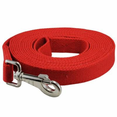 Dog Leash 1
