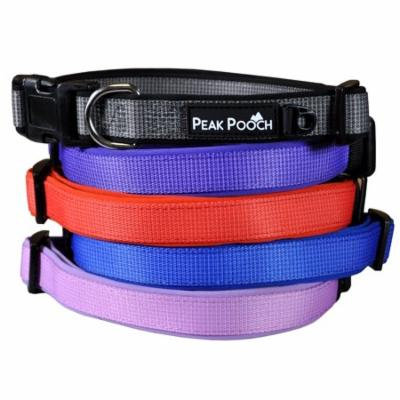 Designer Dog Collar, Soft Padded Adjustable, For Small, Medium and Large Dogs (Red, Large)
