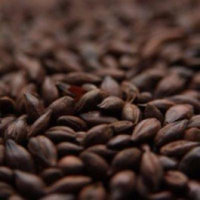 Weyermann CARAFA Type 1 Uncrushed Malt - 10 lb. Bag