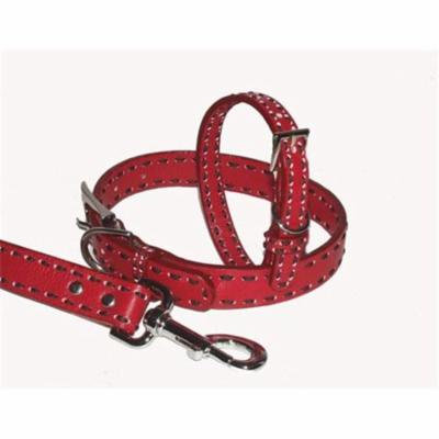 A Pets World 03011304-20 Leather Dog Collar- Red-Chocolate Saddle Stitch