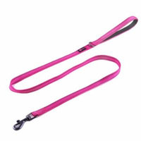 Max and Neo Small Dog Reflective Nylon Dog Leash - We Donate a Leash to a Dog Rescue for Every Leash Sold (PINK, 4 FT x 5/8