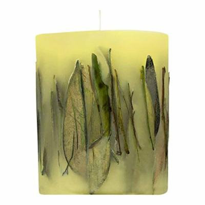 Acqua di Parma Fruit and Flower with Oolong Tea Leaves Candle 900g - Pack of 6