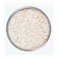 Kryolan 5703 Translucent Powder Profesional Makeup 20g (TL11)