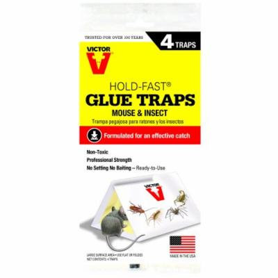 GLUEBOARD MOUSE DISPLAY 4PK