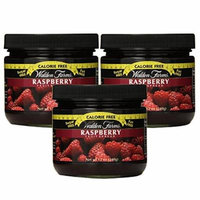 Walden Farms Calorie Free Fat Free Gluten Free Sugar Free Fruit Spreads (Raspberry, 3 Jars)