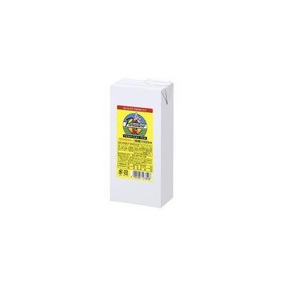 Paradise Tropical tea 1000ml