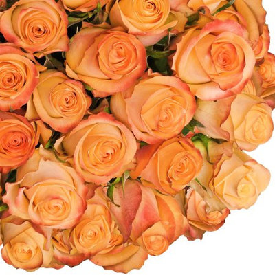 Fresh Cut Peach Roses, 20