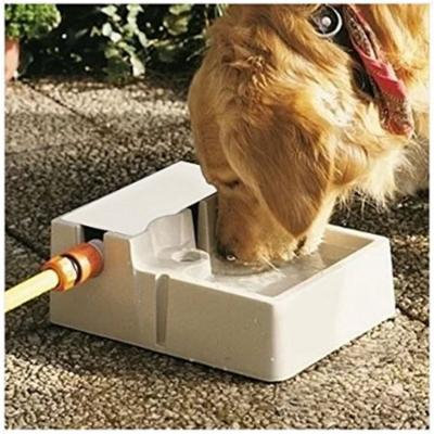 Automatic Self Watering Indoor Outdoor Pet Fountain Fresh Water Dog or Cat Bowl