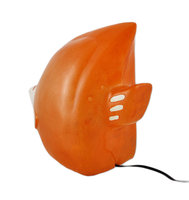 Tropical Fish Beach Themed LED Table Accent Lamp