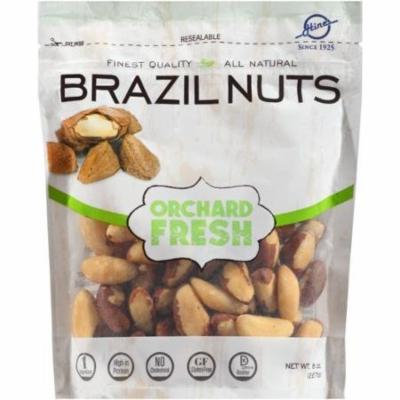 Hines Orchard Fresh Brazil Nuts 8 oz