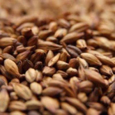 Weyermann CARAMUNICH Type 2 Crushed Malt - 1 lb. Bag