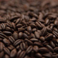 Weyermann Chocolate Rye Crushed Malt - 1 lb. Bag