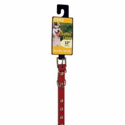PDQ 33112 Studded Leather Dog Collar, 1/2