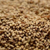 Briess Caramel 20L Crushed Malt - 1 lb. Bag