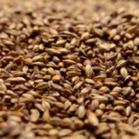 Briess 2-Row Caramel 80L Crushed Malt - 10 lb. Bag