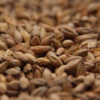 Gambrinus Honey Crushed Malt - 1 lb. Bag