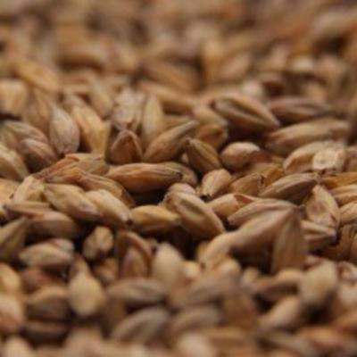 Gambrinus Honey Crushed Malt - 1 lb. Bag