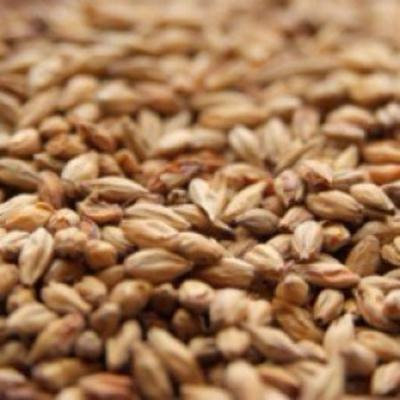 Weyermann Abbey Crushed Malt - 1 lb. Bag