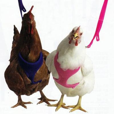 Valhoma Chicken Harness