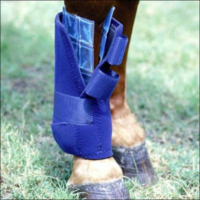 PROFESSIONAL CHOICE HORSE LEG NON TOXIC FLEXIBLE ICE CELLS COLD THERAPY PAIR