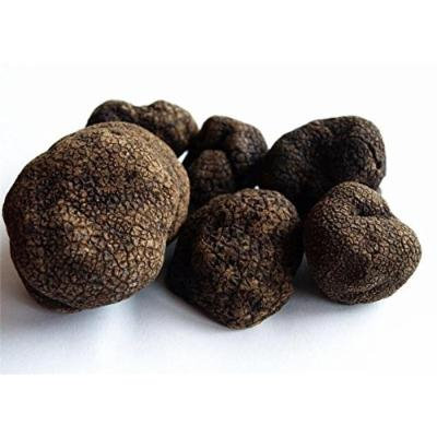Urbani Truffles Fresh Black Winter Truffles (2 oz)