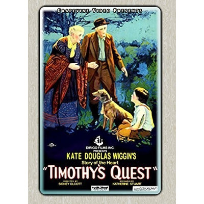 Fye Timothy's Quest DVD