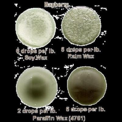 16 oz. Bayberry Green Liquid Dye