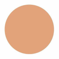 shiseido pureness matifying compact oil-free spf 16 (refill) 40 natural beige by tayongpo