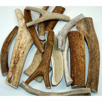 Premium Large Antler - ONE POUND (+/- an ounce) Variety Pack - Top Dog Chews High Quality!